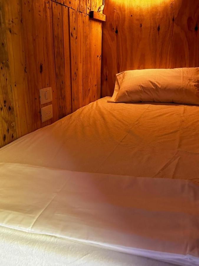 Hostel Tropico 20 Pdc プレヤデルカーメン エクステリア 写真